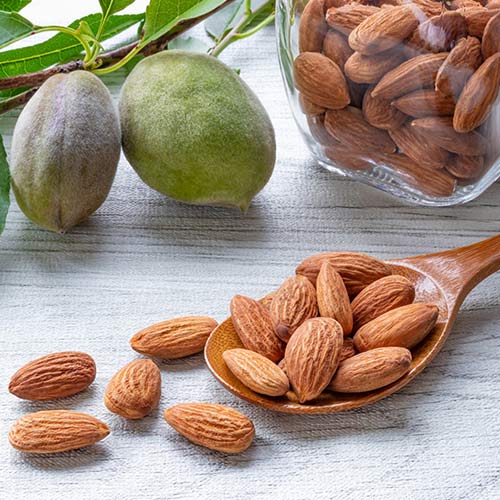 Mandula Avijor, С2 kép 2 termék 7947