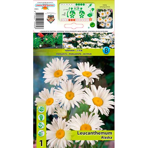 Margaréta Alaska termék fotó 1 Margaréta Alaska kép 1 termék 76612