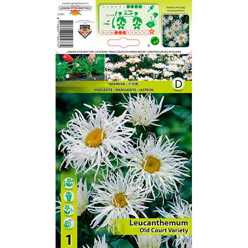 Margaréta Old Court Variety termék fotó 1 Margaréta Old Court Variety kép 1 termék 76613