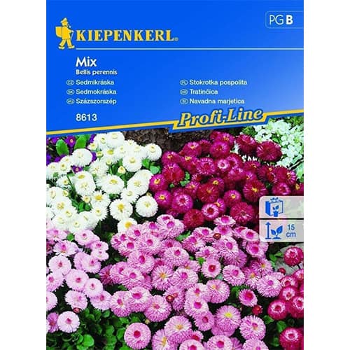 Margitvirág Double, mix termék fotó 1 Margitvirág Double, mix kép 1 termék 86255