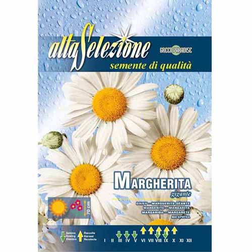 Margitvirág óriás kép 1 termék 96353