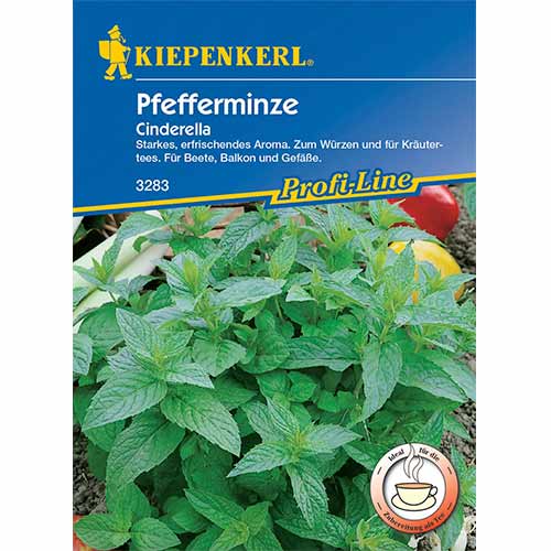Menta Cinderella termék fotó 1 Menta Cinderella kép 1 termék 96646