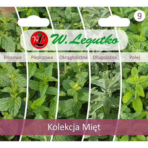 Menta gyűjtemény, 5 fajtát tartalmazó csomag termék fotó 1 Menta gyűjtemény, 5 fajtát tartalmazó csomag kép 1 termék 96840