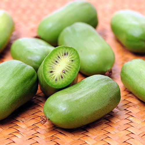 Mini kiwi Issai, P9 kép 1 termék 9238