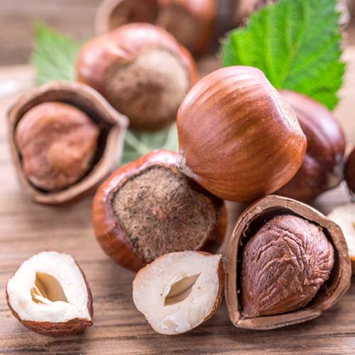 Mogyoró Ennis kép 1 termék 6934