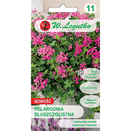 Muskátli Fuchsia F1 kép 1 termék 78631