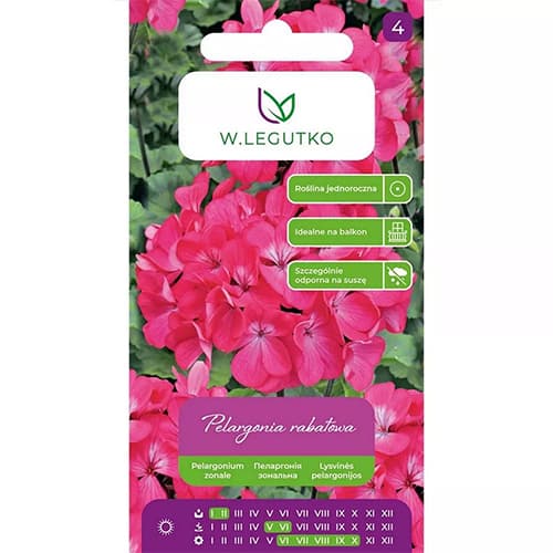 Muskátli Gama F1, rózsaszín kép 1 termék 69621