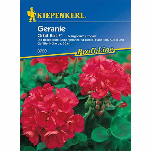 Muskátli Orbit F1, piros kép 1 termék 96536