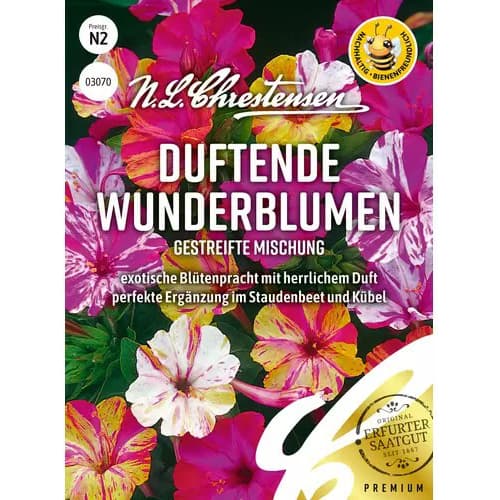 Nagy csodatölcsér Flower Wonder, színkeverék termék fotó 1 Nagy csodatölcsér Flower Wonder, színkeverék kép 1 termék 96416