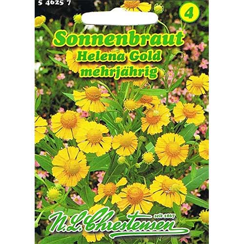 Napfényvirág Helena Gold Chrestensen kép 1 termék 96426