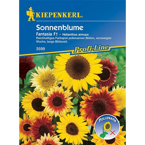 Napraforgó Fantasia F1 kép 1 termék 86320