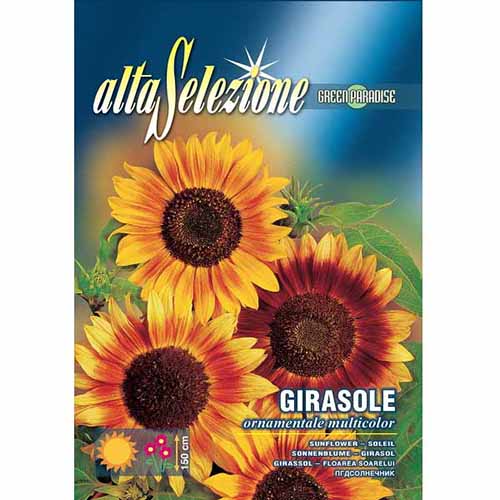 Napraforgó ,mix kép 1 termék 96339