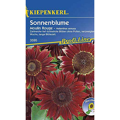 Napraforgó Moulin Rouge Kiepenkerl kép 1 termék 86325