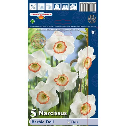 Nárcisz Barbie Doll kép 1 termék 67639