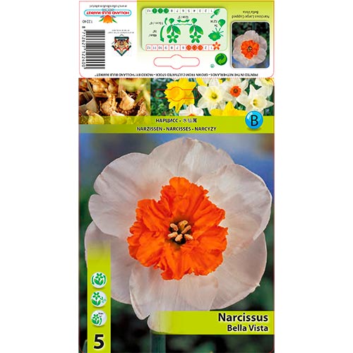 Nárcisz Bella Vista kép 1 termék 67640