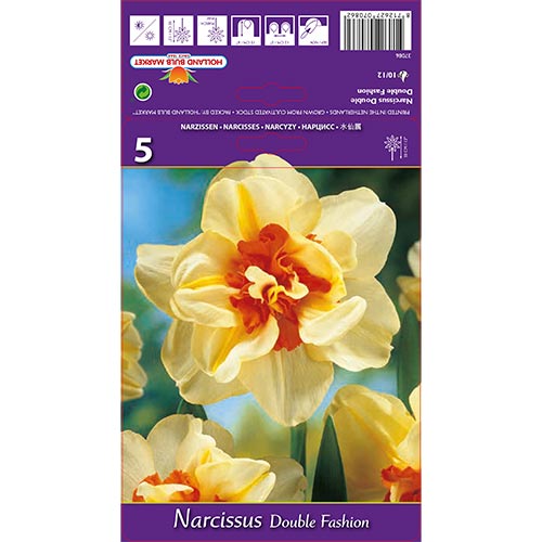 Nárcisz Double Fashion termék fotó 1 Nárcisz Double Fashion kép 1 termék 67413
