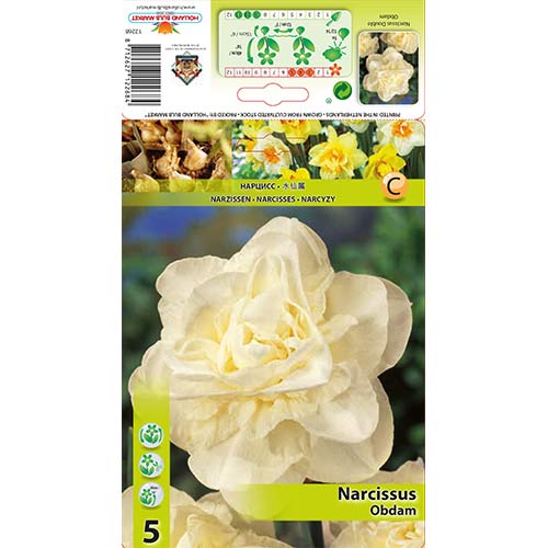 Nárcisz Obdam kép 1 termék 70286