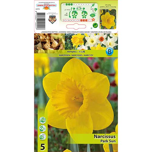 Nárcisz Park Sun kép 1 termék 67654
