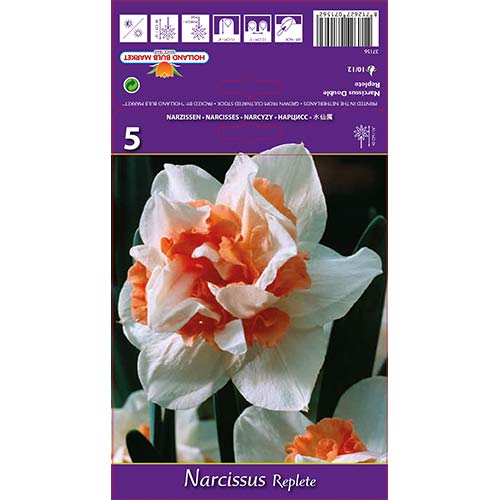 Nárcisz Replete kép 1 termék 68071