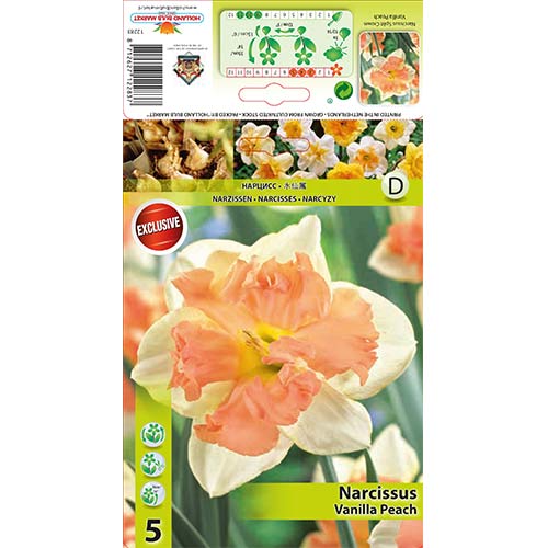 Nárcisz Vanilla Peach kép 1 termék 67437