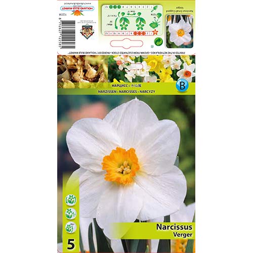 Nárcisz Verger kép 1 termék 70279
