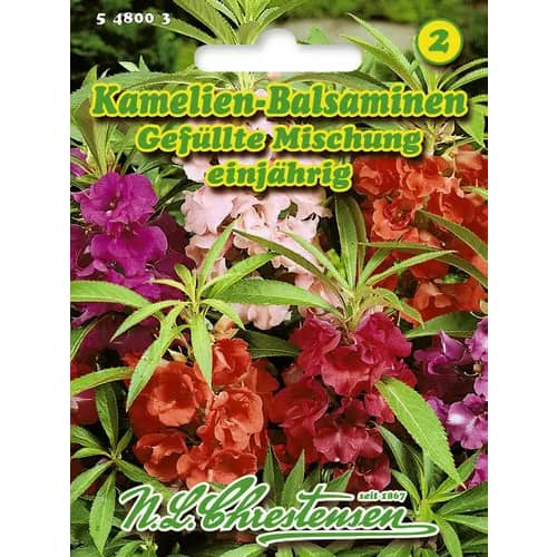 Nebáncsvirág kamélia virágokkal, színkeverék kép 1 termék 96429