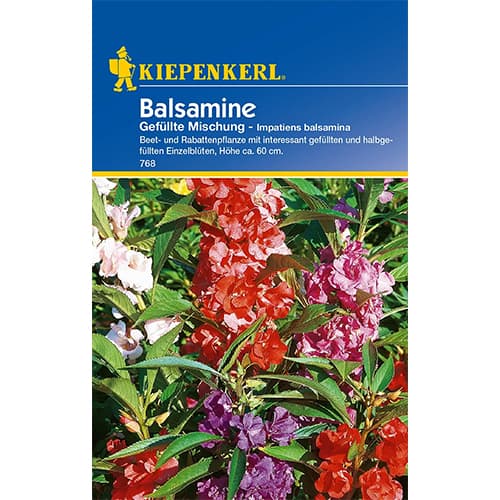 Törpe Nebáncsvirág Double, színkeverék kép 1 termék 77436