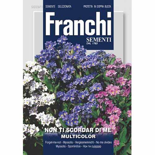 Nefelejcs virág, mix kép 1 termék 87128