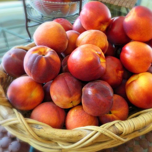 Nektarin Orion kép 1 termék 7983