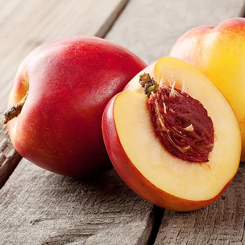 Nektarin Orlando kép 1 termék 4288