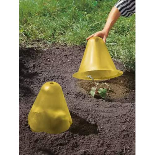 Növényvédő kúp kép 1 termék 96979