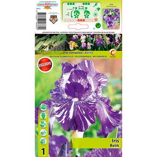 Nőszirom (Iris germanica) Batik kép 1 termék 76282