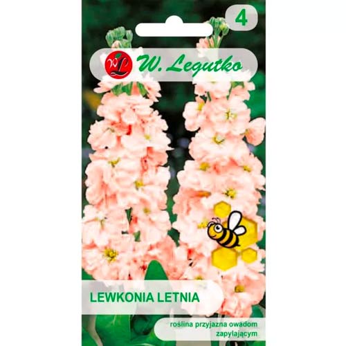 Nyári viola Excelsior lazac Legutko kép 1 termék 87081