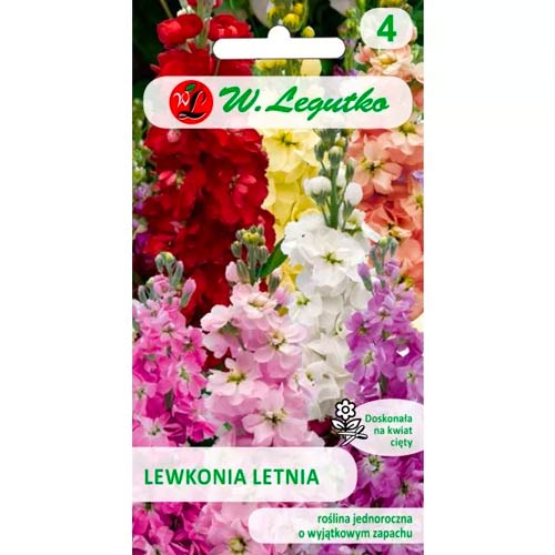 Nyári viola Excelsior, színkeverék Legutko kép 1 termék 87084