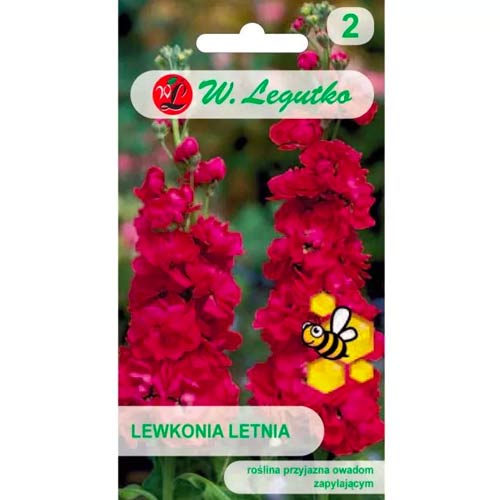 Nyári viola Excelsior vörös Legutko kép 1 termék 96751