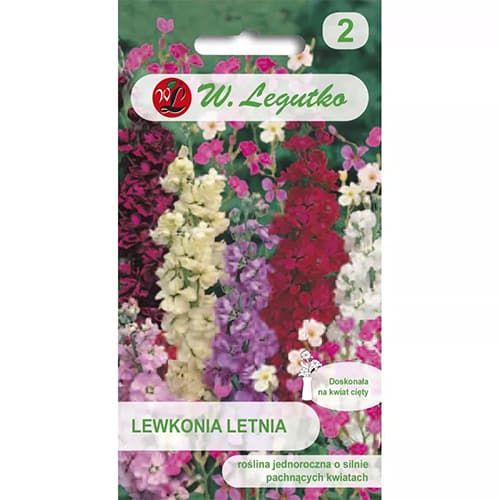 Nyári viola, színkeverék kép 1 termék 87863