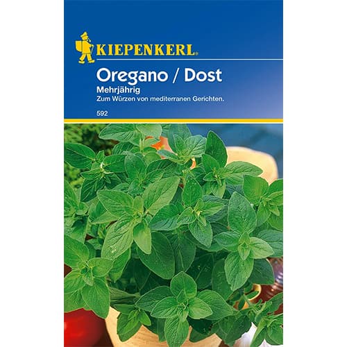 Oregánó évelő kép 1 termék 77483