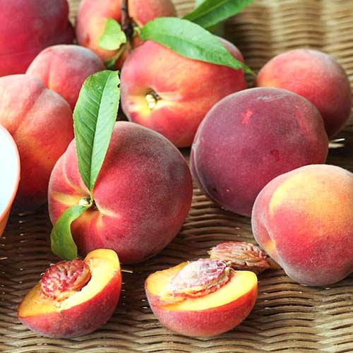 Őszibarack Carlo kép 1 termék 4290