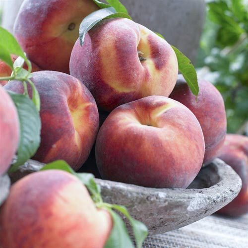 Őszibarack Haly Gali, С2 kép 1 termék 7992