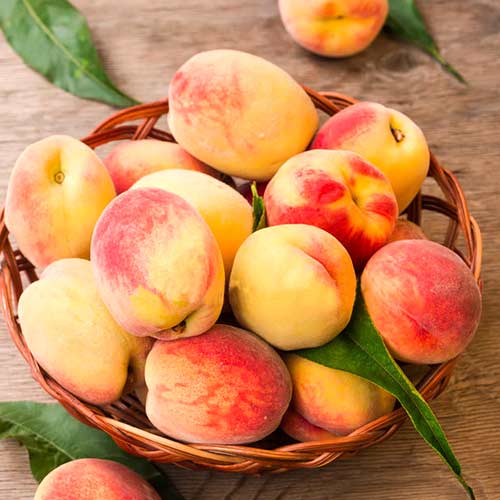 Őszibarack Lolita, C2 kép 1 termék 9677