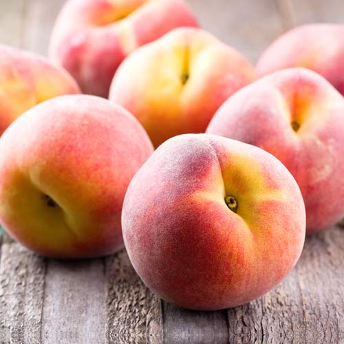 Őszibarack Platybest kép 1 termék 4300