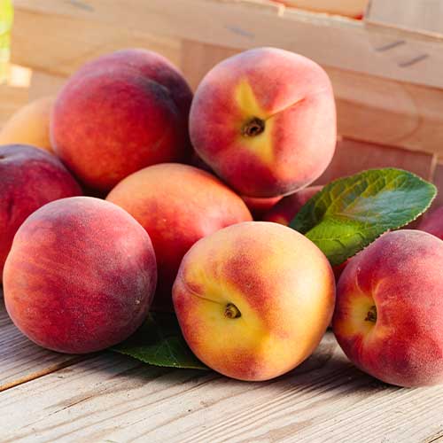 Őszibarack Romeo, C2 kép 1 termék 9678