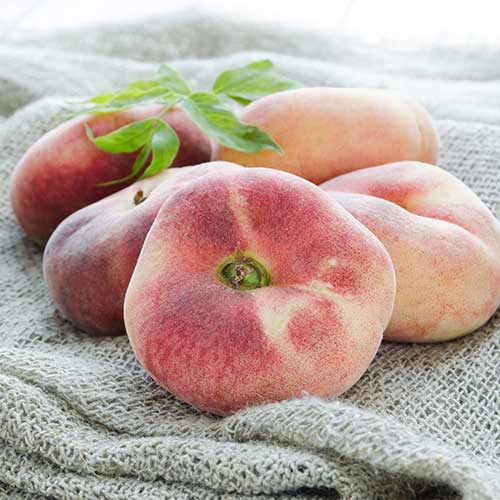 Őszibarack Saturn kép 1 termék 5672