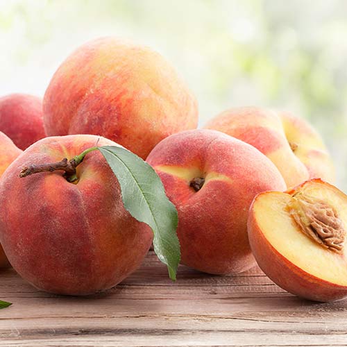 Őszibarack Suzee 699 termék fotó 1 Őszibarack Suzee 699 kép 1 termék 4304