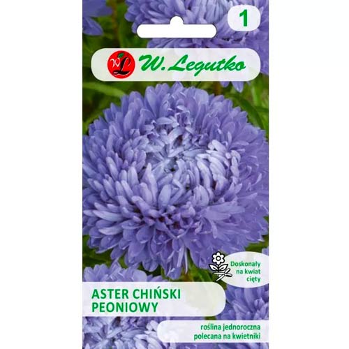 Őszirózsa kerti bazsarózsa kék Legutko kép 1 termék 78527