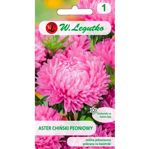 Őszirózsa kerti bazsarózsa rózsaszín Legutko kép 1 termék 78524