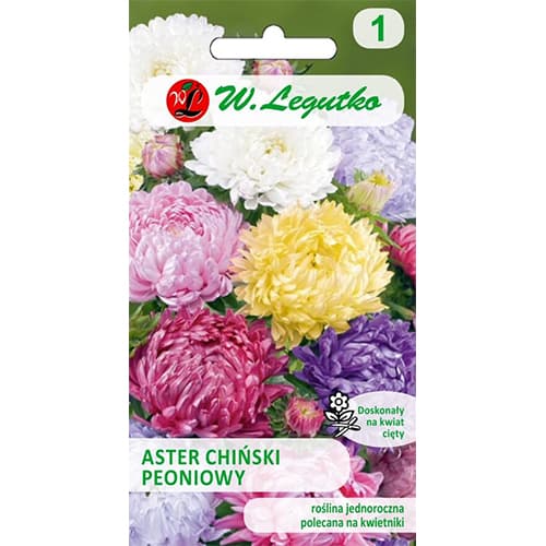 Őszirózsa kerti bazsarózsa, színkeverék kép 1 termék 78529