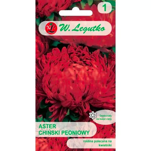 Őszirózsa kerti bazsarózsa vörös Legutko kép 1 termék 78525