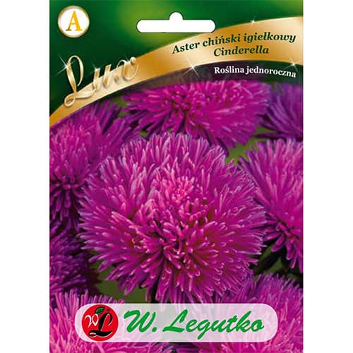 Őszirózsa kerti Cinderella kép 1 termék 86742