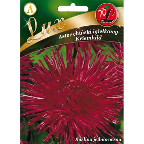 Őszirózsa kerti Kriemhild kép 1 termék 86743